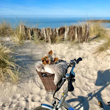 Strandliebe Ostsee *