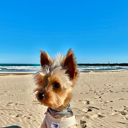 Strandliebe Ostsee Διαμέρισμα